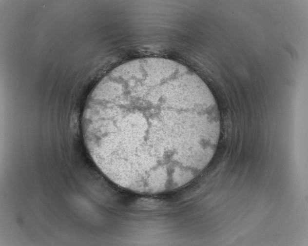 X0000113900699200910221438