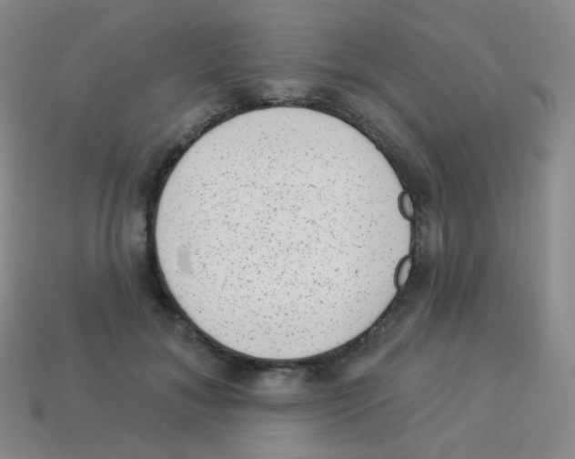 X0000113900700200910221438