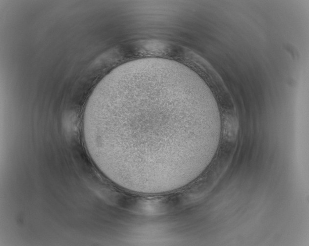 X0000113900701200910221438