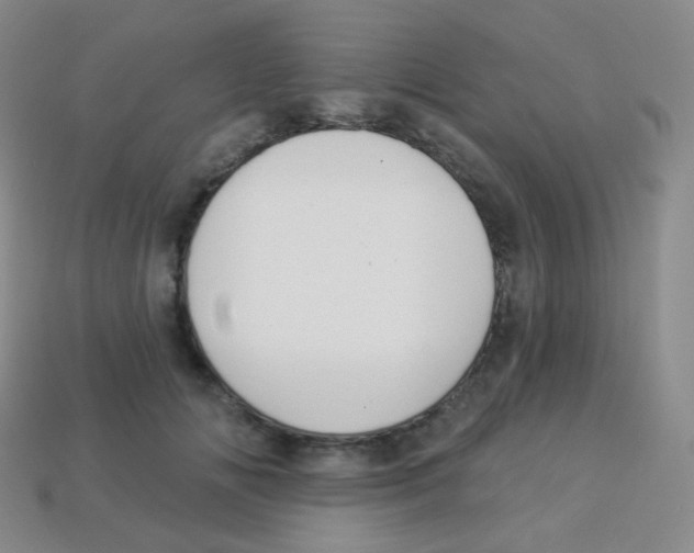 X0000113900702200910221438