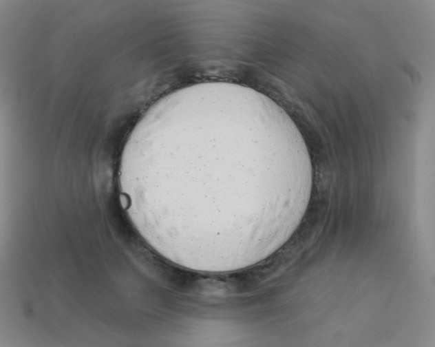 X0000113900703200910221438