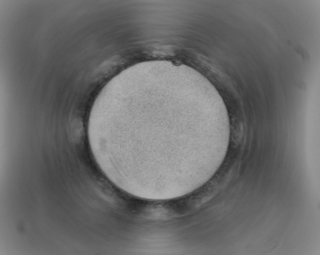 X0000113900704200910221438