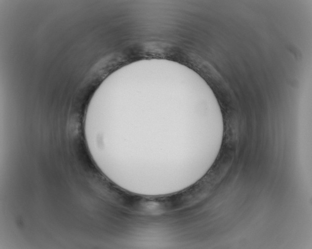 X0000113900706200910221438