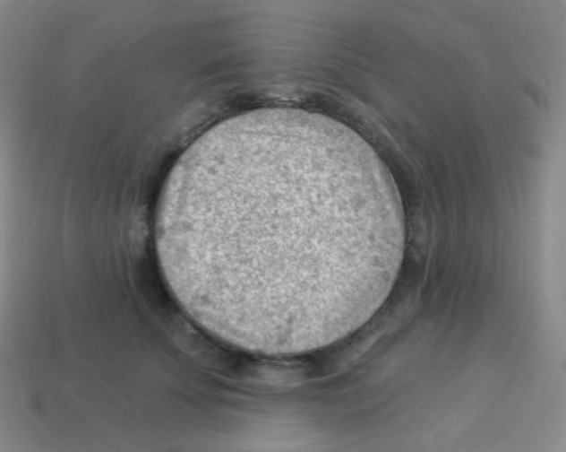 X0000113900707200910221438