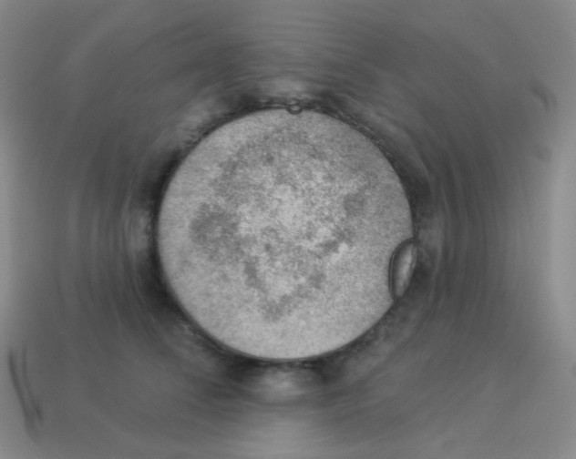 X0000113900708200910221438