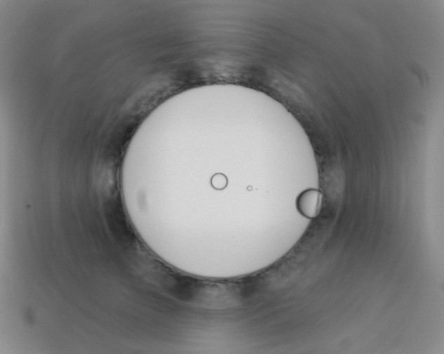 X0000113900709200910221438