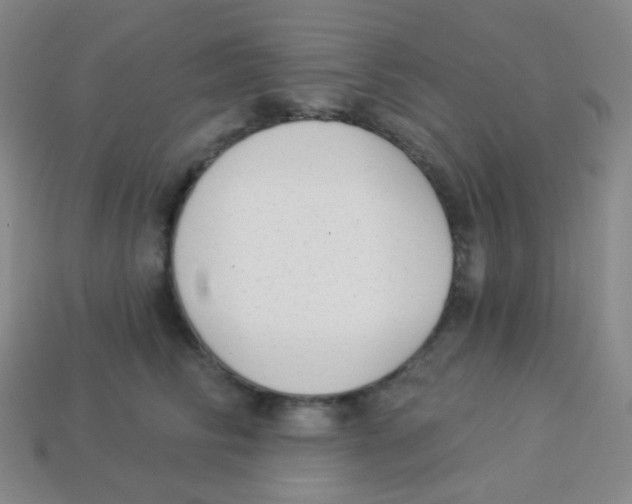 X0000113900710200910221438