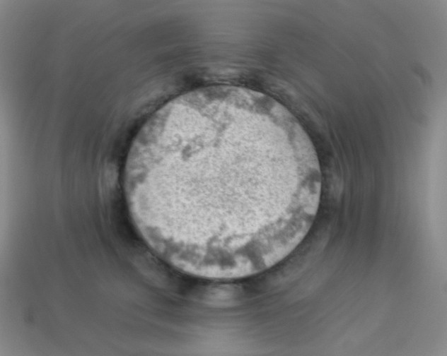 X0000113900711200910221438