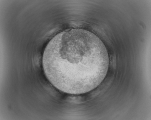 X0000113900712200910221438