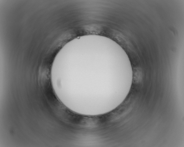 X0000113900713200910221438