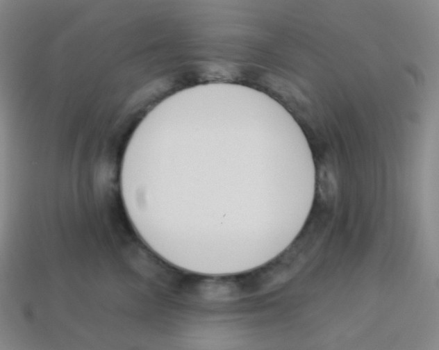 X0000113900714200910221438