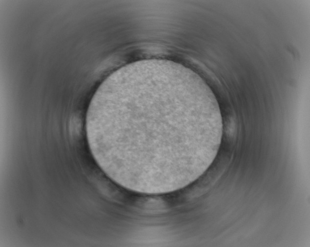 X0000113900715200910221438