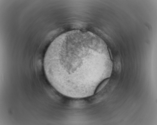 X0000113900716200910221438