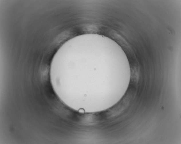 X0000113900717200910221438