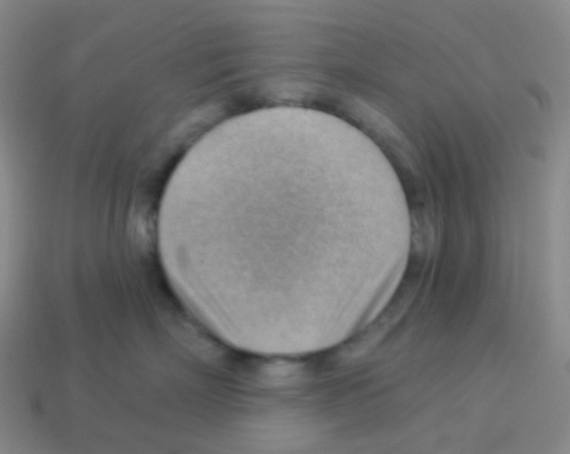 X0000113900718200910221438