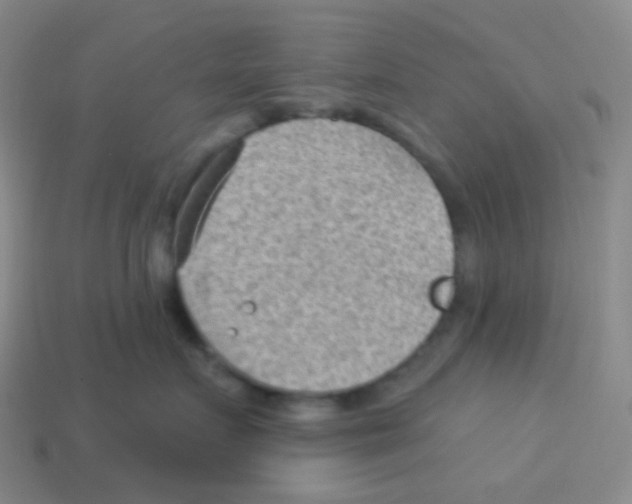 X0000113900719200910221438