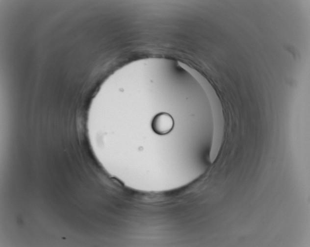 X0000113900720200910221438