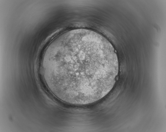 X0000113900722200910221437