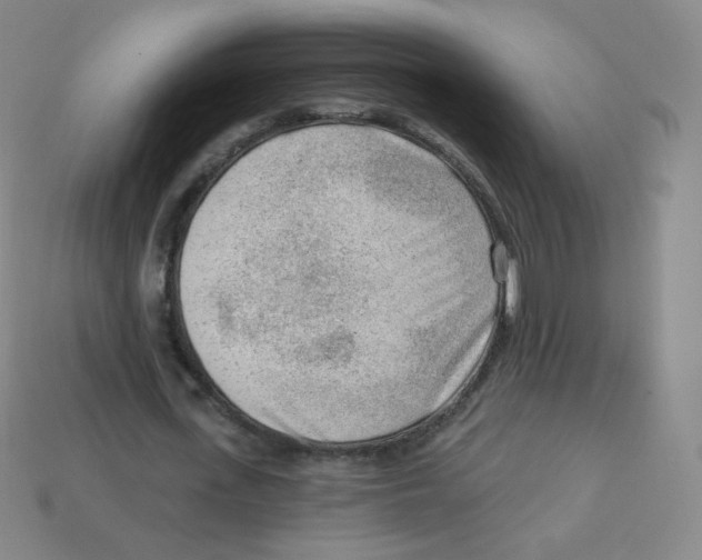 X0000113900723200910221437