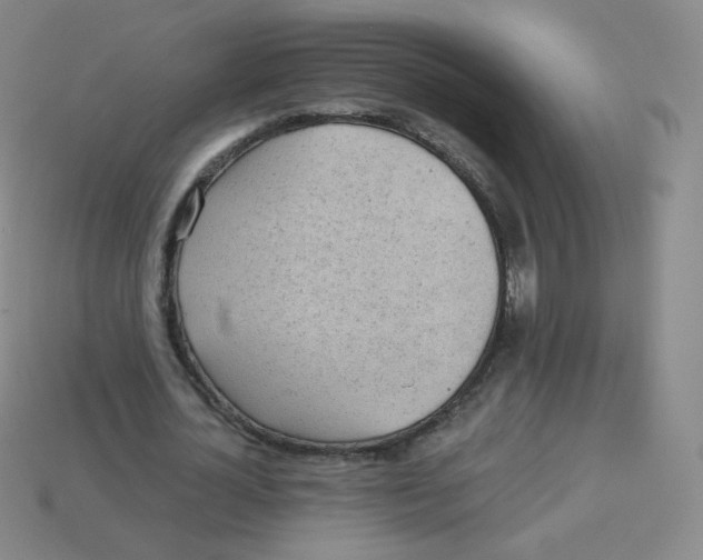 X0000113900724200910221437