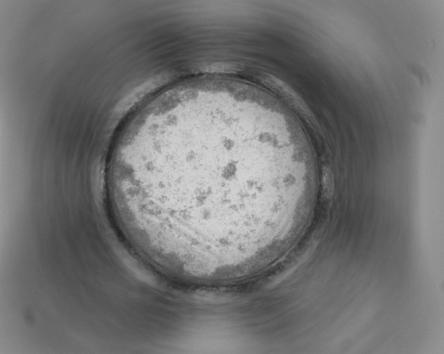 X0000113900725200910221437