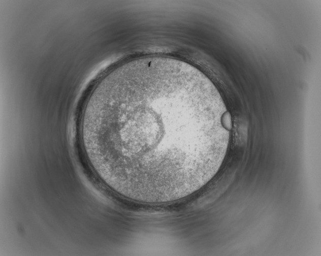 X0000113900726200910221437