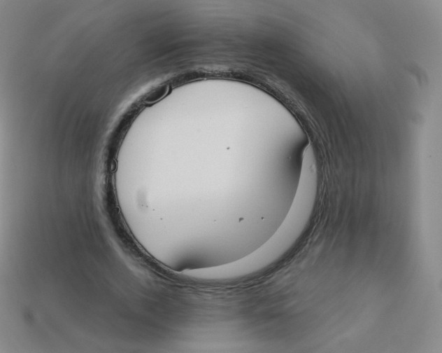 X0000113900728200910221438