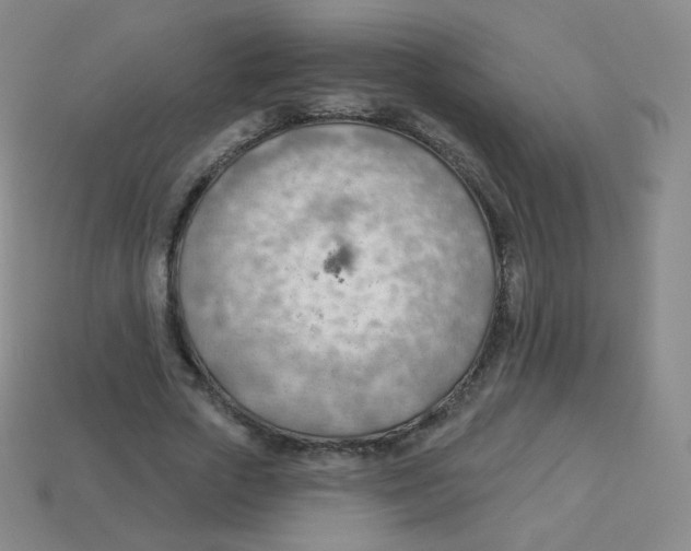 X0000113900729200910221438