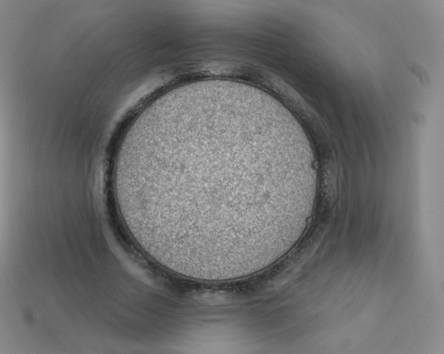 X0000113900730200910221438