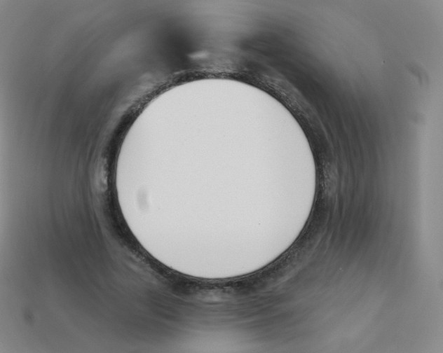 X0000113900731200910221438