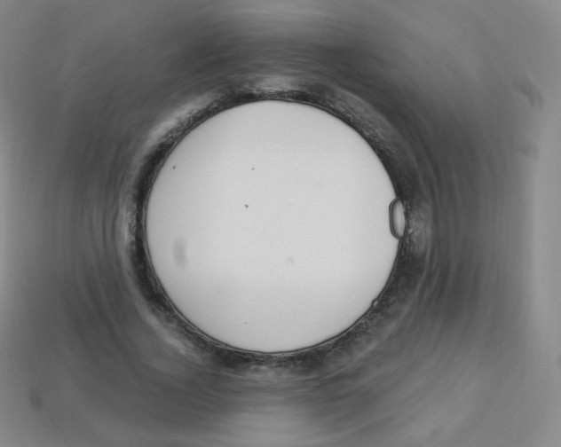 X0000113900732200910221438