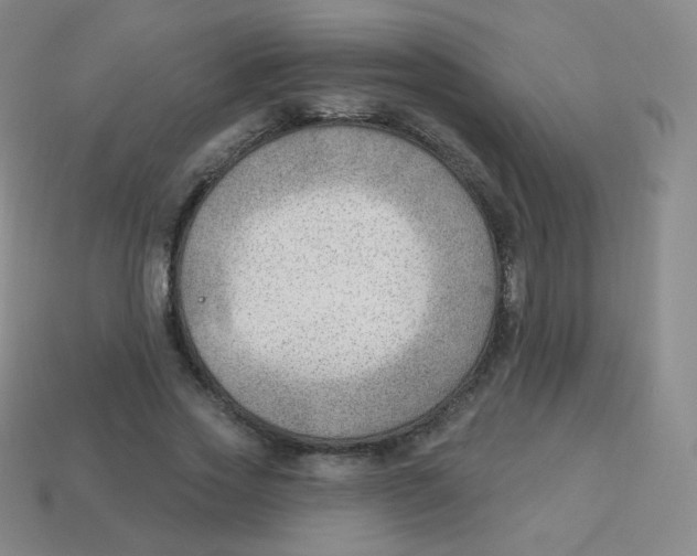 X0000113900733200910221438