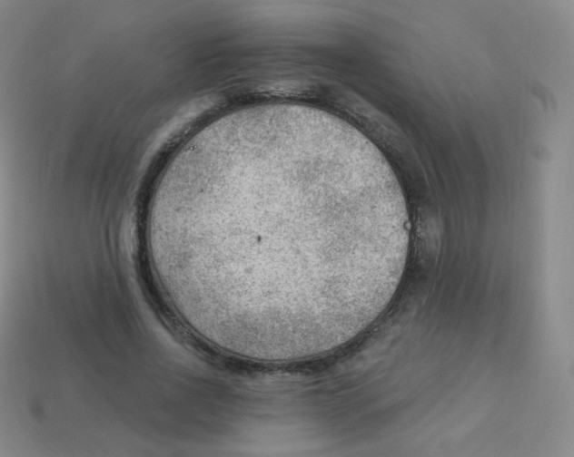 X0000113900734200910221438