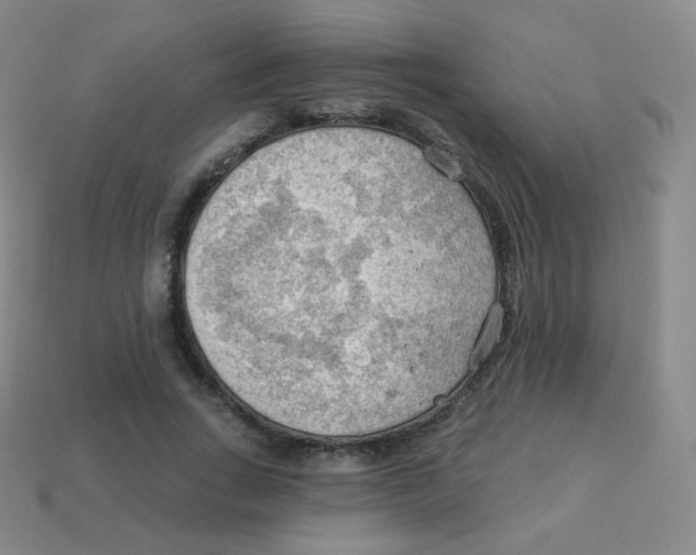 X0000113900735200910221438