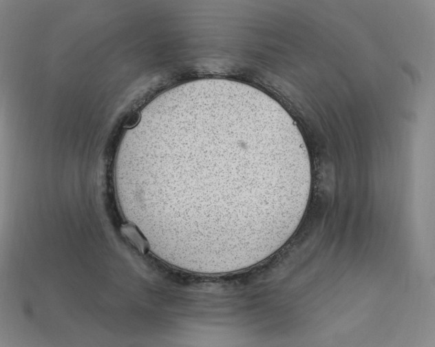 X0000113900738200910221438