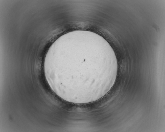 X0000113900739200910221438