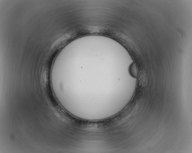 X0000113900740200910221438