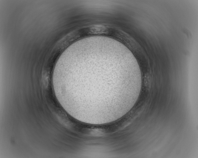 X0000113900741200910221438