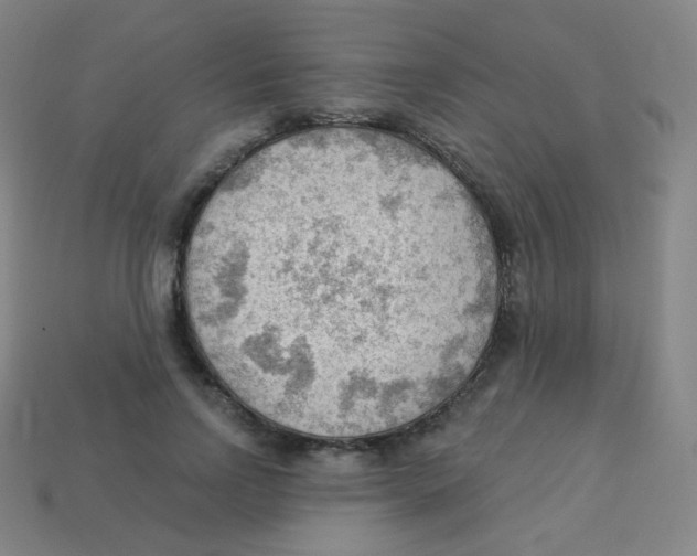 X0000113900742200910221438