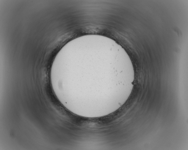 X0000113900743200910221438