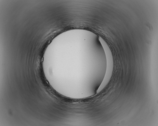 X0000113900744200910221438