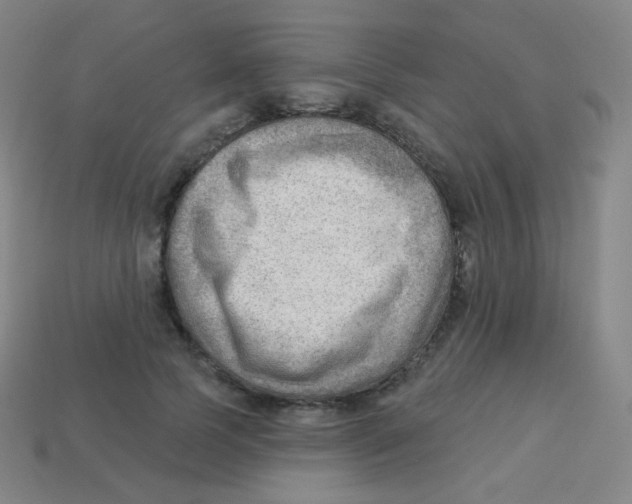 X0000113900745200910221438