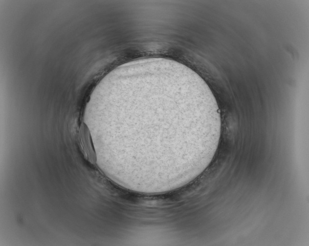 X0000113900746200910221438