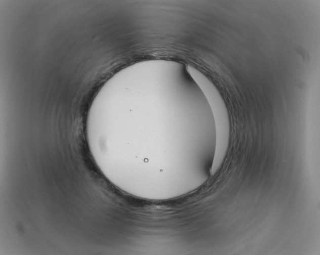 X0000113900748200910221438