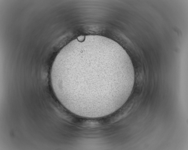 X0000113900749200910221438