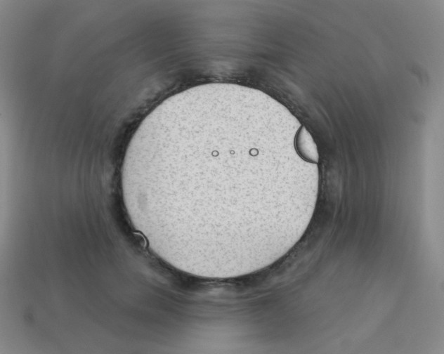 X0000113900750200910221438