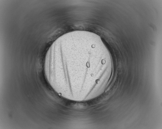 X0000113900751200910221438