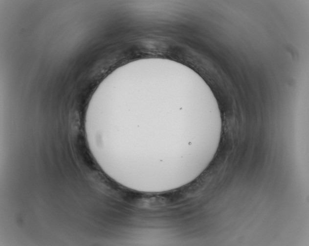 X0000113900752200910221438