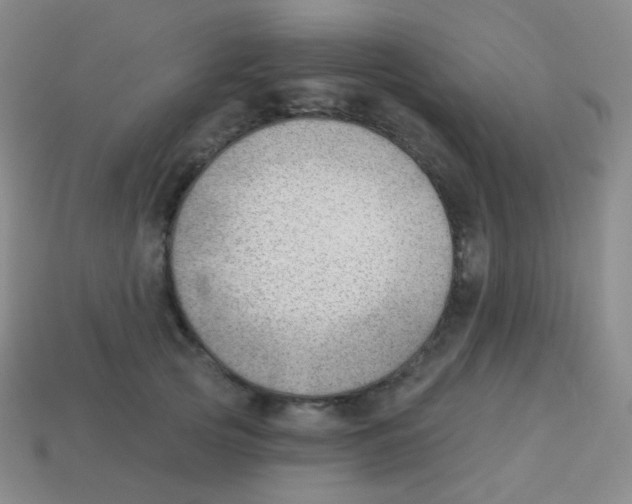 X0000113900753200910221438