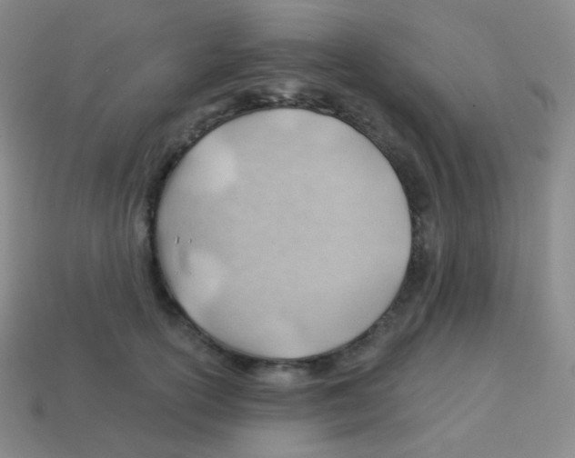 X0000113900754200910221438